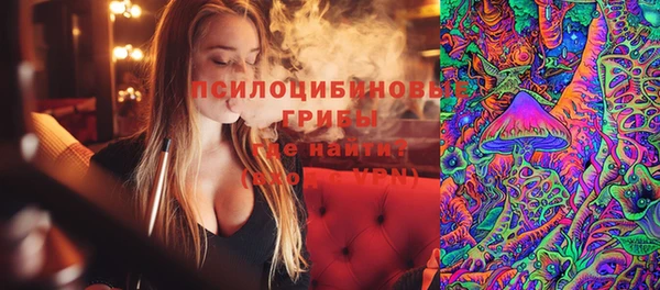 СК Покров