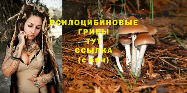 СК Покров