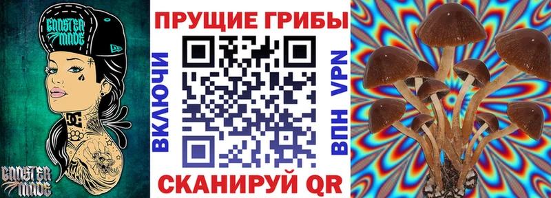 Купить  Рошаль  Галлюциногенные грибы ЛСД 