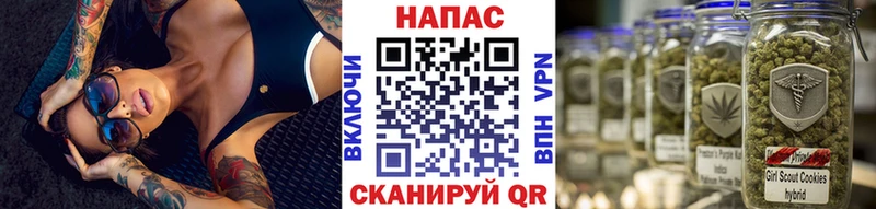 Купить где  Рошаль  Бошки марихуана White Widow 